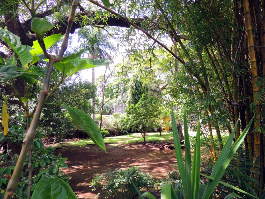 Foto: Casa Inti Guesthouse - Managua, Nicaragua