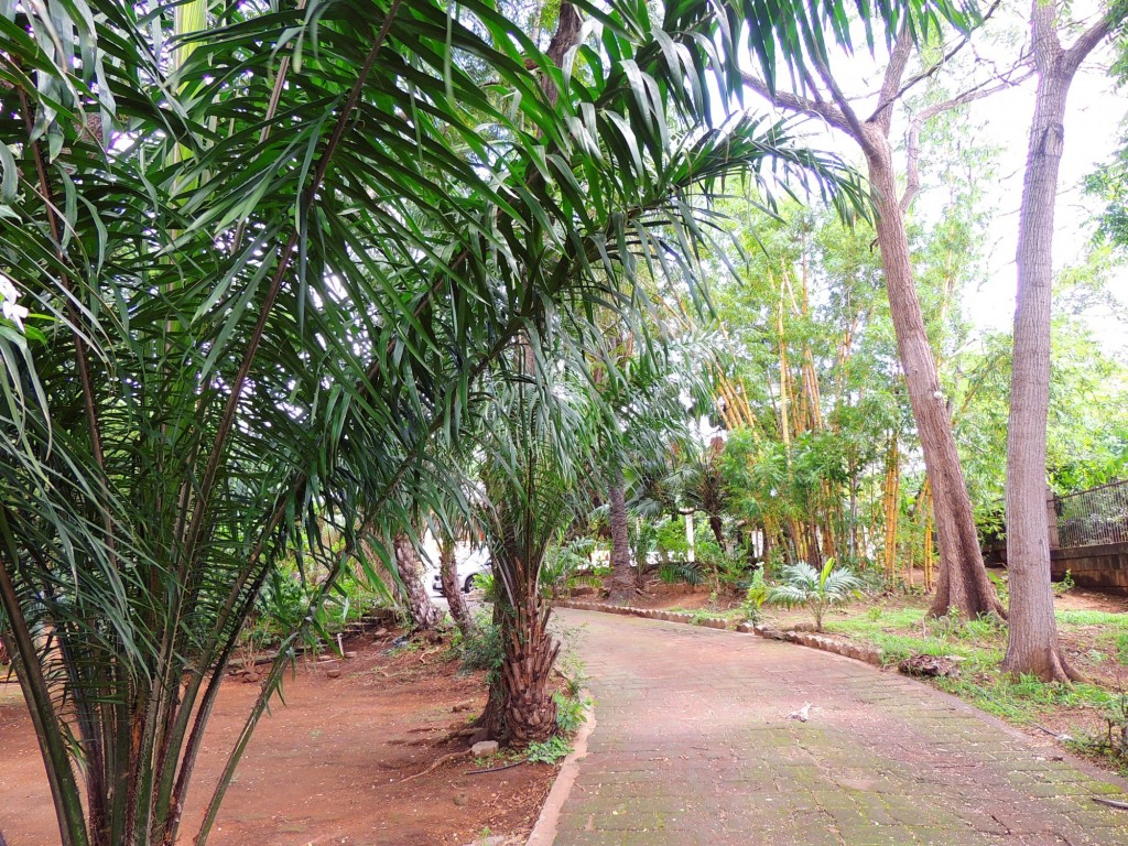 Foto: Casa Inti Guesthouse - Managua, Nicaragua