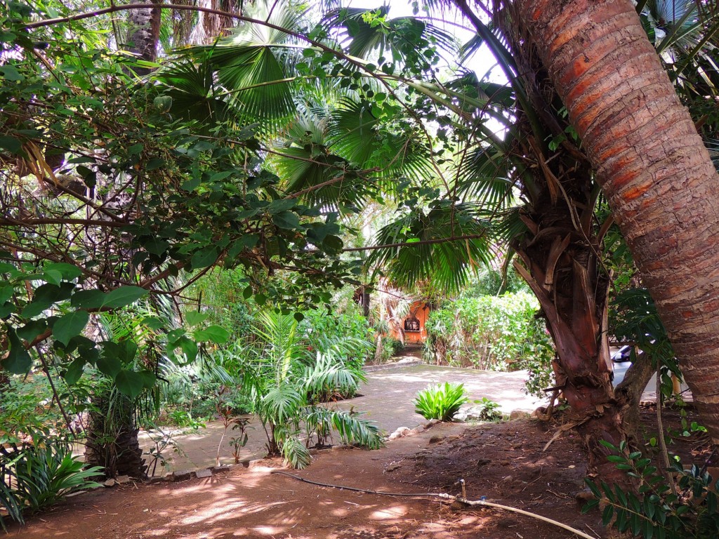 Foto: Casa Inti Guesthouse - Managua, Nicaragua