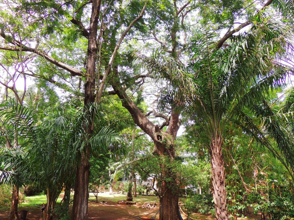 Foto: Casa Inti Guesthouse - Managua, Nicaragua