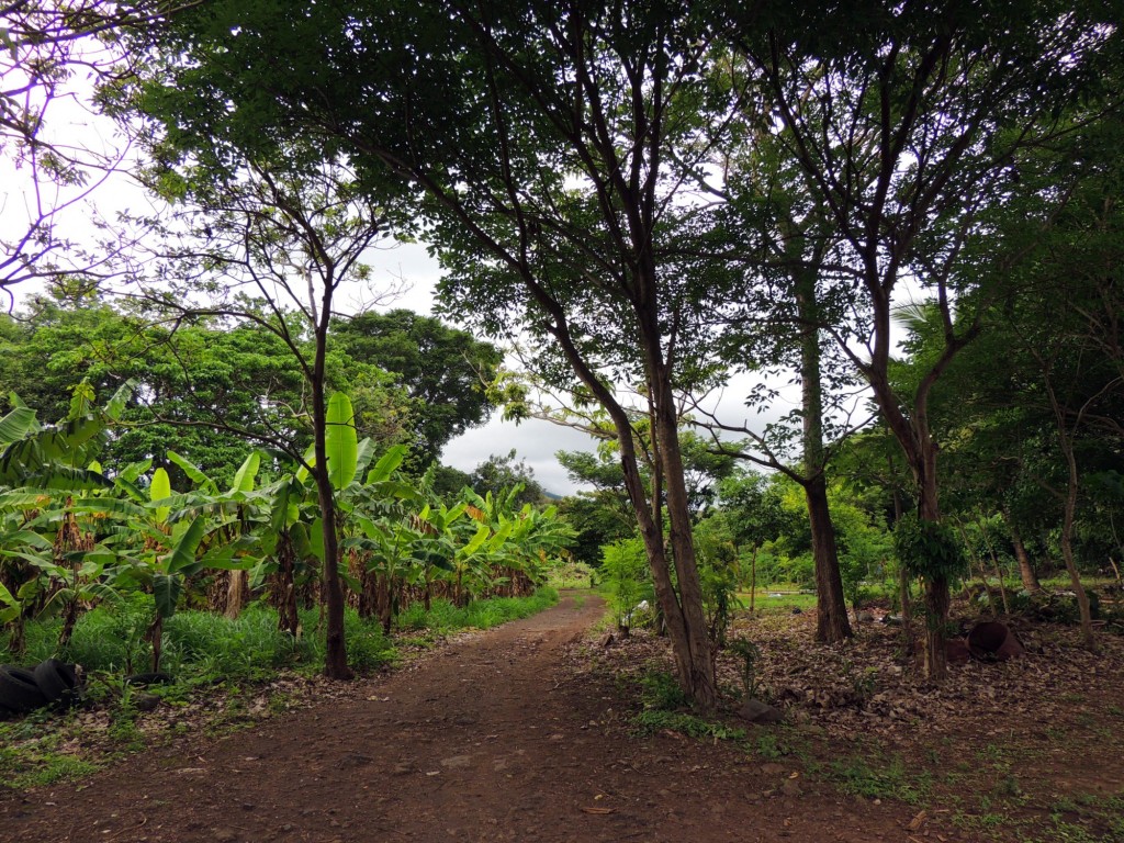 Foto: Reserva Natural Ojo de Agua - Ometepe, Nicaragua