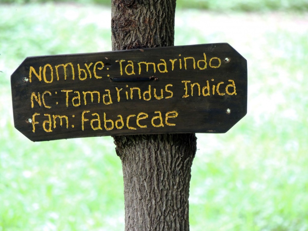 Foto: Reserva Natural Ojo de Agua - Ometepe, Nicaragua