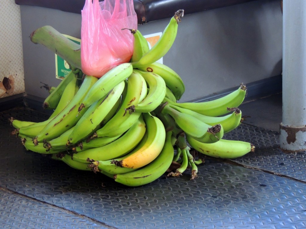 Foto: Navegando de Moyogalpa a Puerto San Jorge - Moyogalpa, Nicaragua