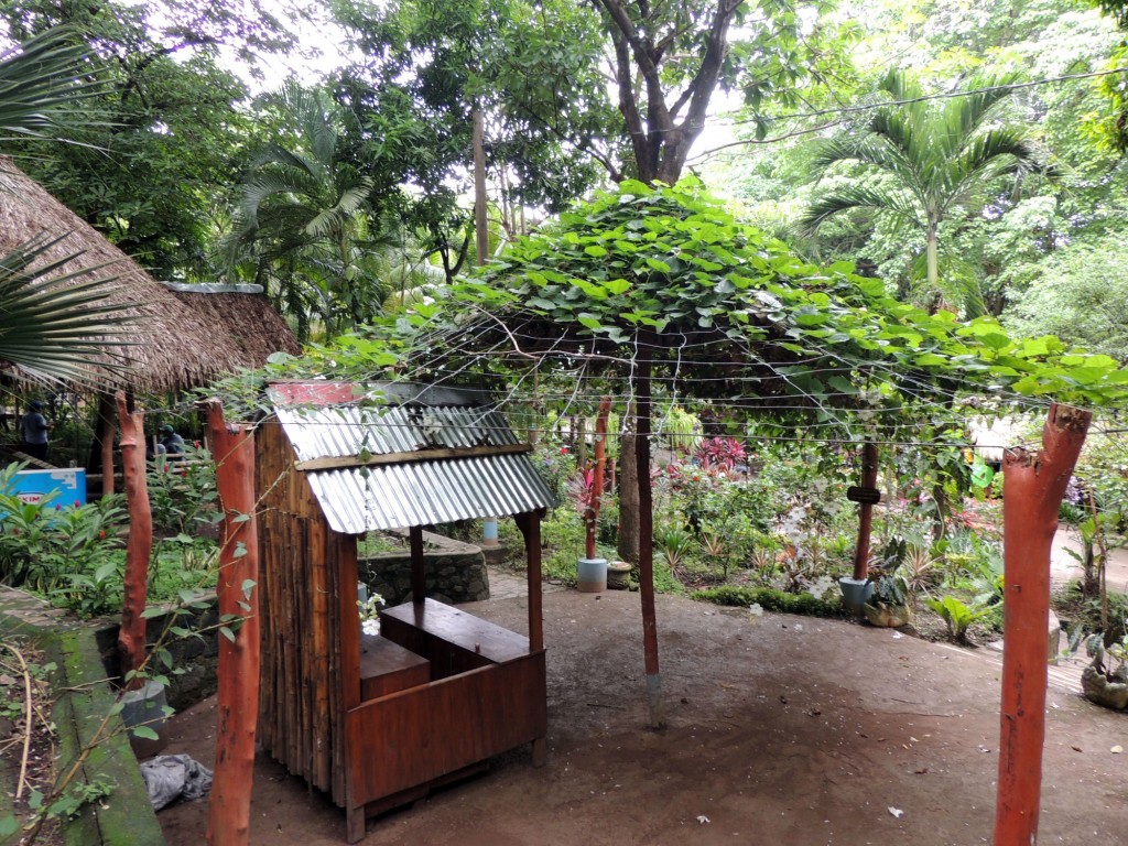 Foto: Reserva Natural Ojo de Agua - Ometepe, Nicaragua