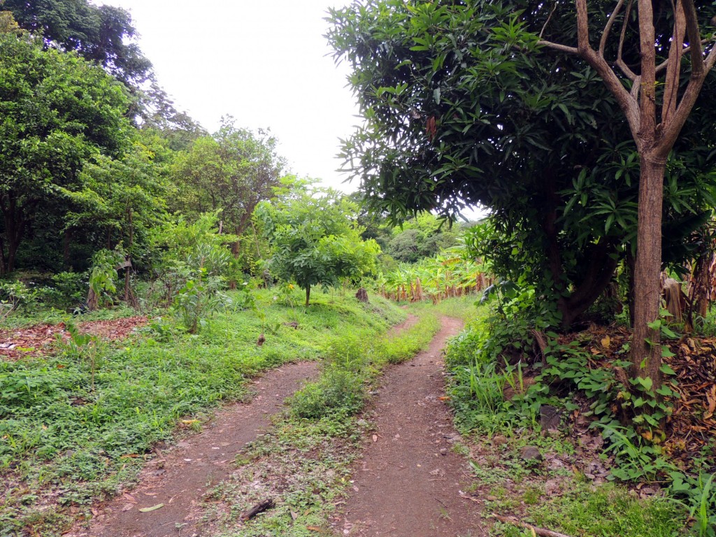 Foto: Reserva Natural Ojo de Agua - Ometepe, Nicaragua