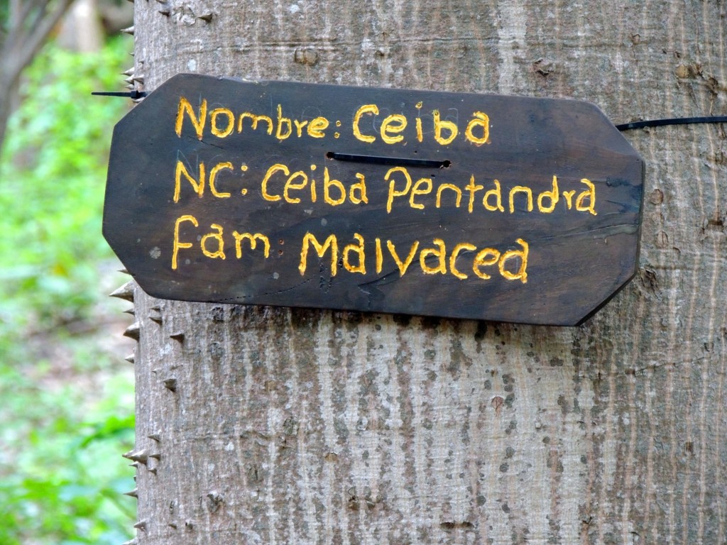 Foto: Reserva Natural Ojo de Agua - Ometepe, Nicaragua