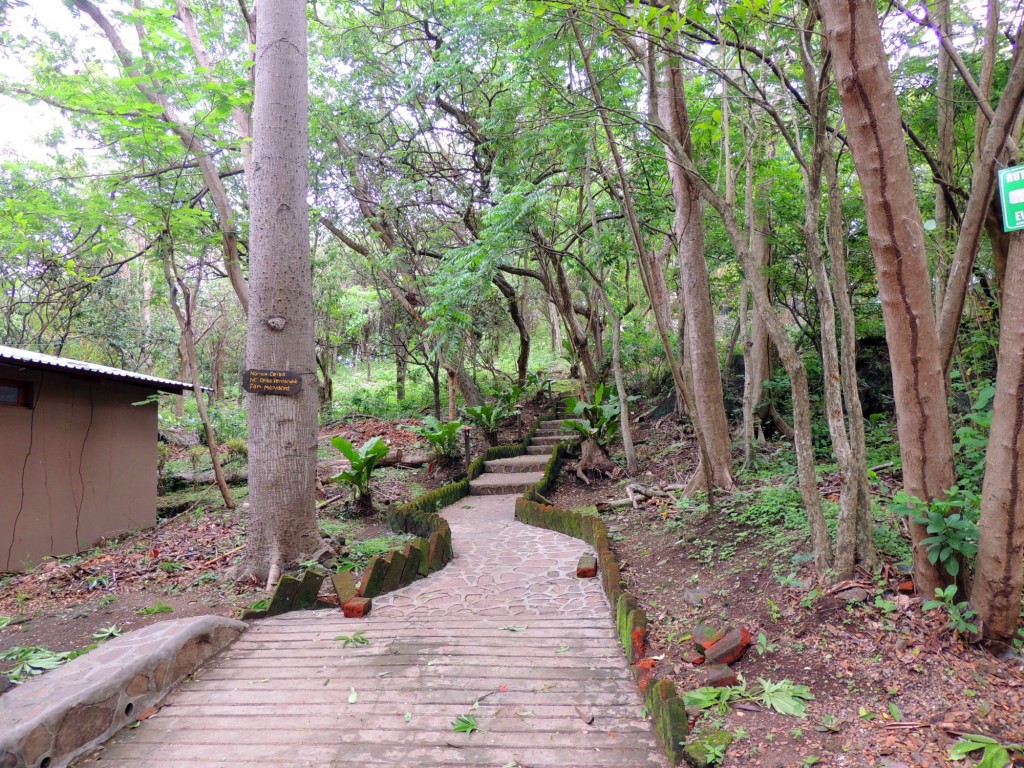 Foto: Reserva Natural Ojo de Agua - Ometepe, Nicaragua