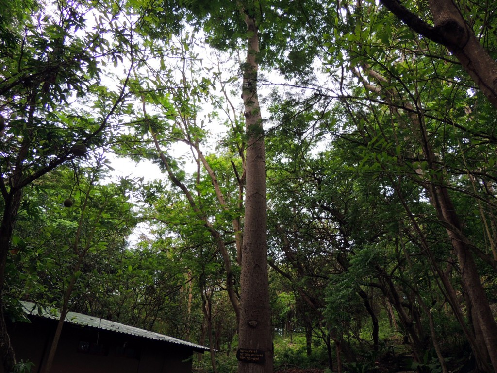 Foto: Reserva Natural Ojo de Agua - Ometepe, Nicaragua