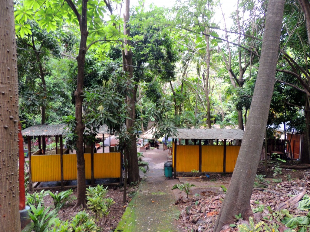 Foto: Reserva Natural Ojo de Agua - Ometepe, Nicaragua