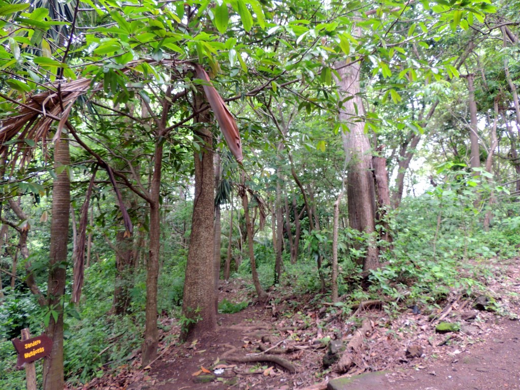 Foto: Reserva Natural Ojo de Agua - Ometepe, Nicaragua