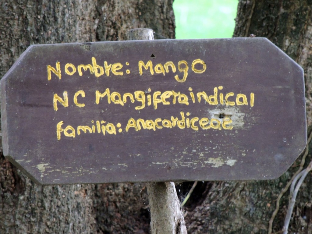Foto: Reserva Natural Ojo de Agua - Ometepe, Nicaragua