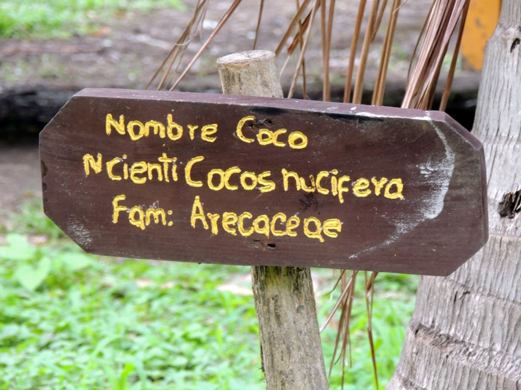 Foto: Reserva Natural Ojo de Agua - Ometepe, Nicaragua