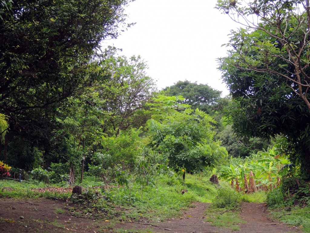 Foto: Reserva Natural Ojo de Agua - Ometepe, Nicaragua