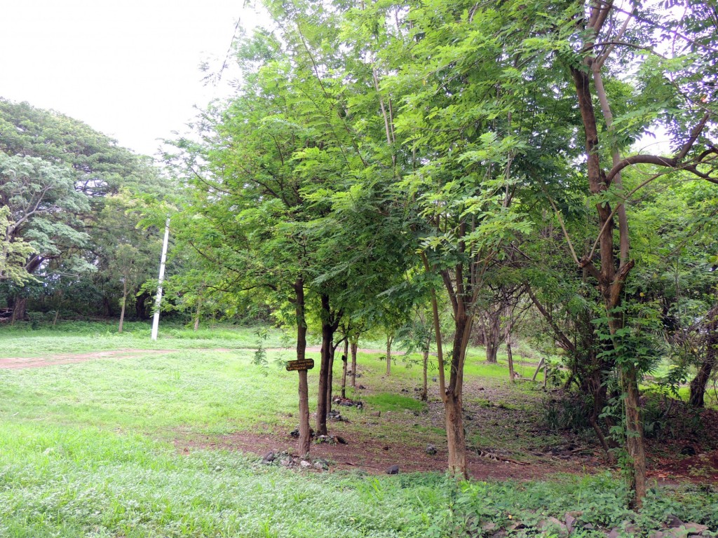 Foto: Reserva Natural Ojo de Agua - Ometepe, Nicaragua