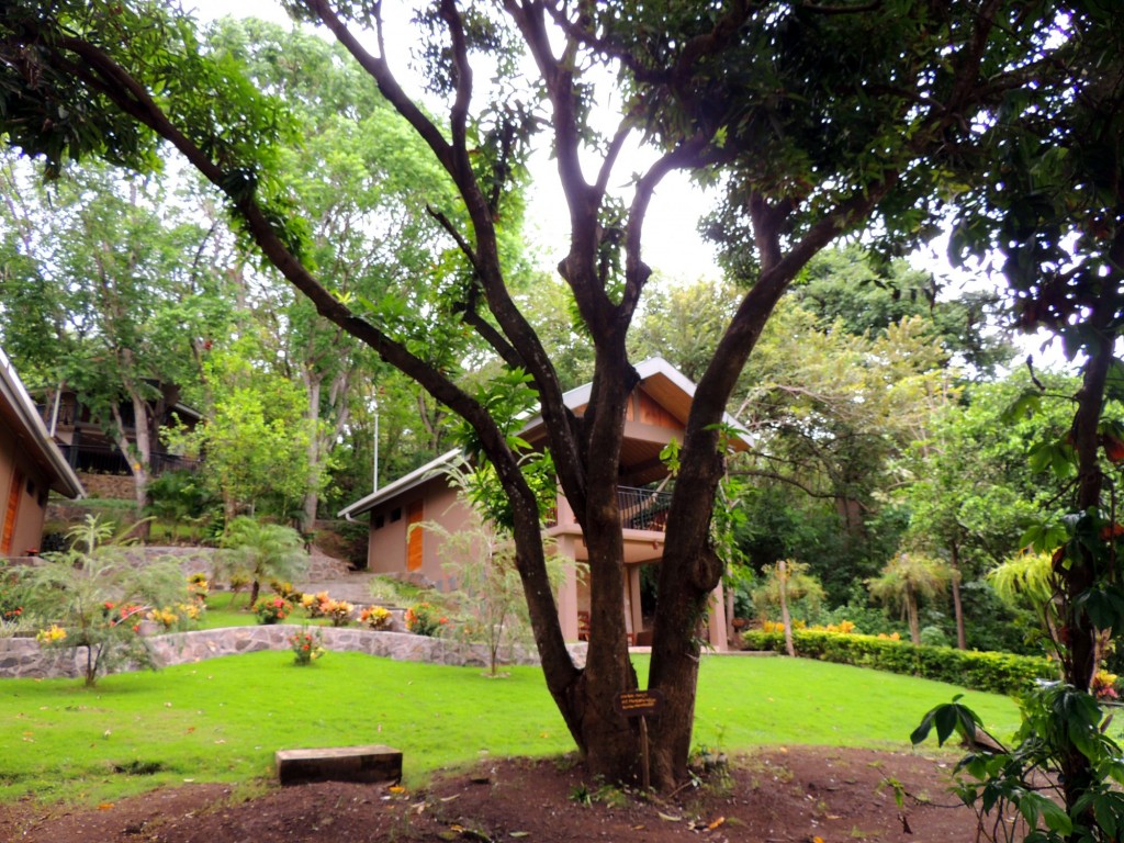 Foto: Reserva Natural Ojo de Agua - Ometepe, Nicaragua