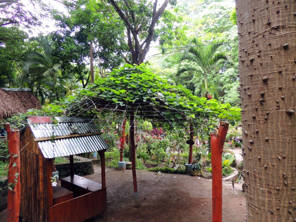 Foto: Reserva Natural Ojo de Agua - Ometepe, Nicaragua