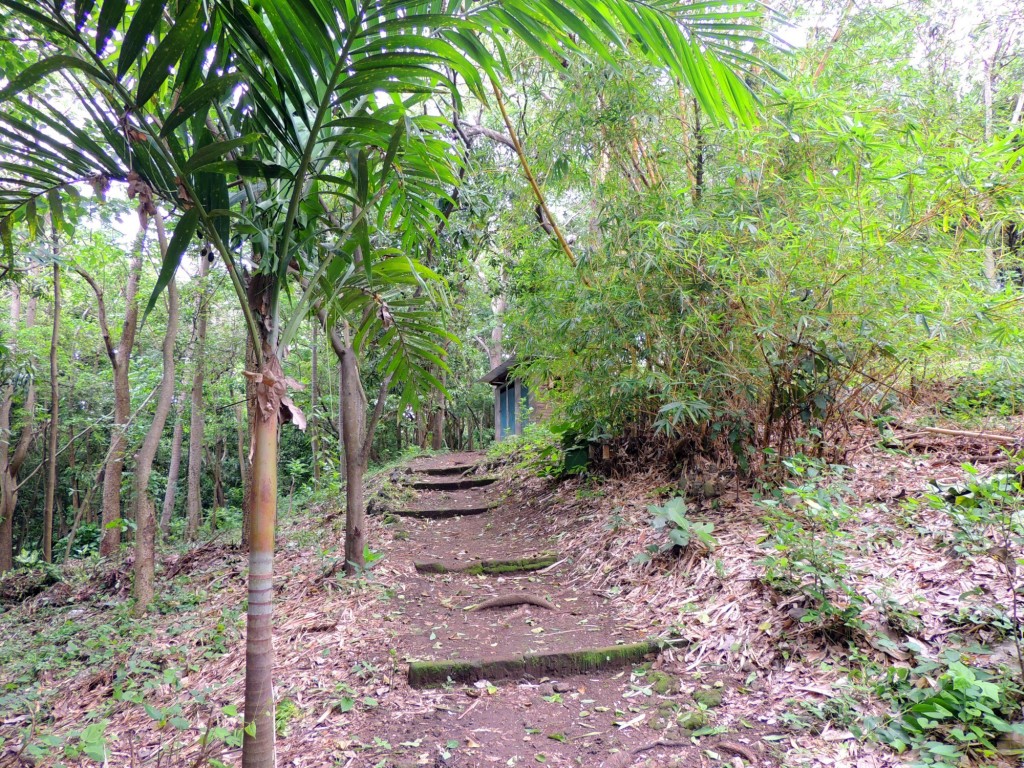 Foto: Reserva Natural Ojo de Agua - Ometepe, Nicaragua