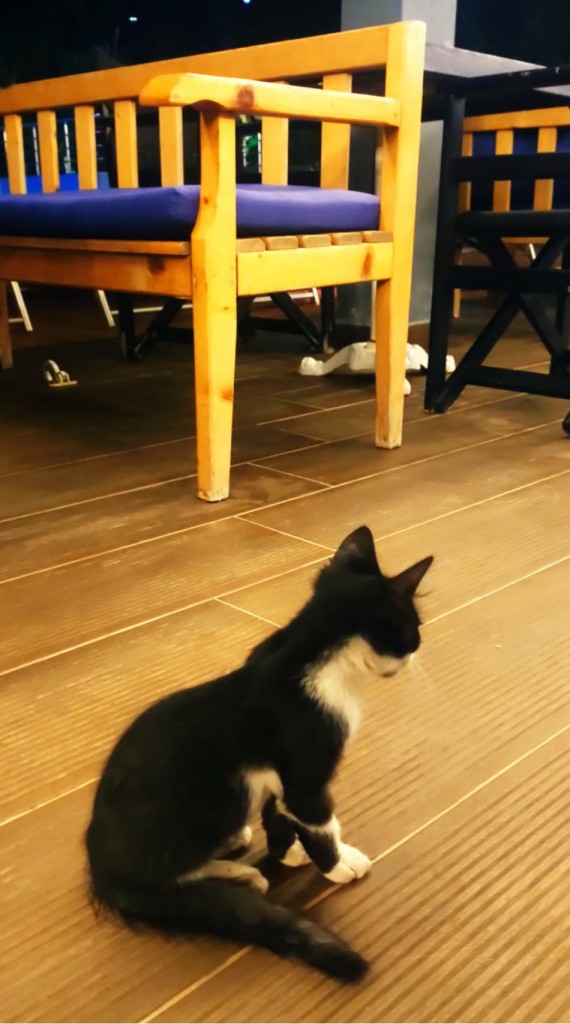 Foto: Hotel Bahamas - Sarandë (Vlorë), Albania