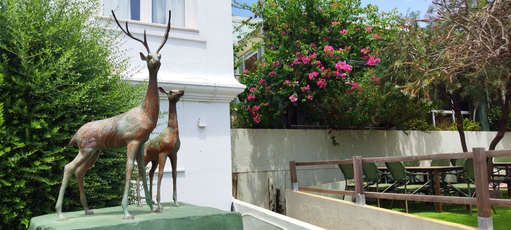 Foto: Los Corzos - Alcalá de los Gazules (Cádiz), España