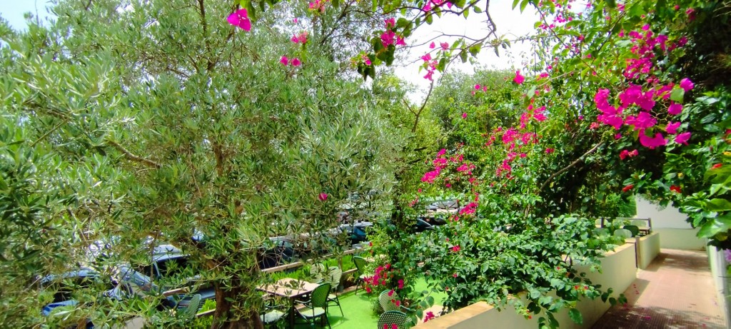 Foto: Los Corzos - Alcalá de los Gazules (Cádiz), España