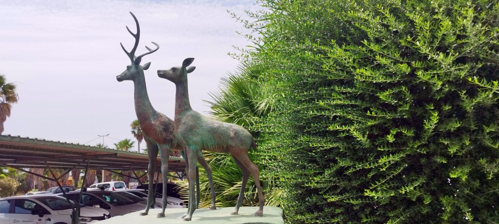 Foto: Los Corzos - Alcalá de los Gazules (Cádiz), España