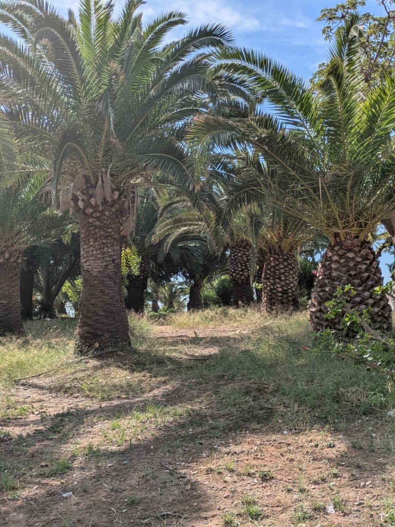 Foto: Playas - Sagunto (València), España