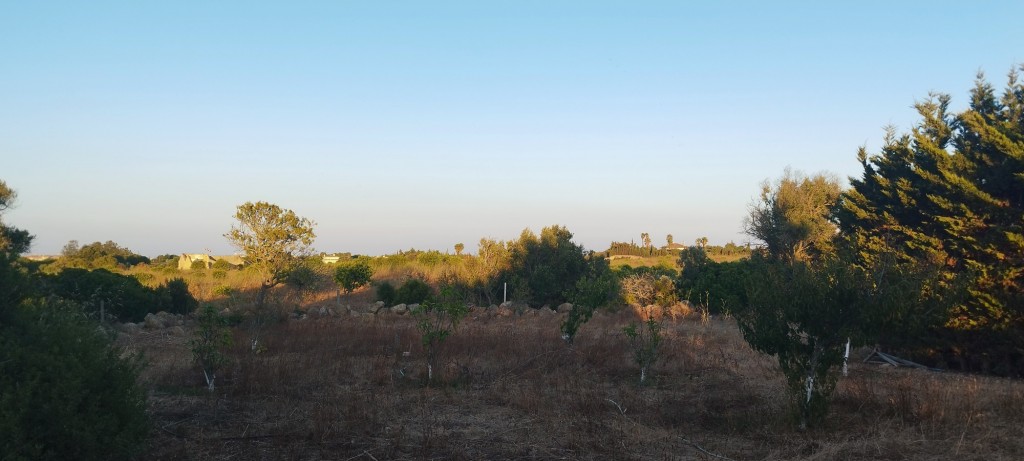 Foto de Lagos, Portugal