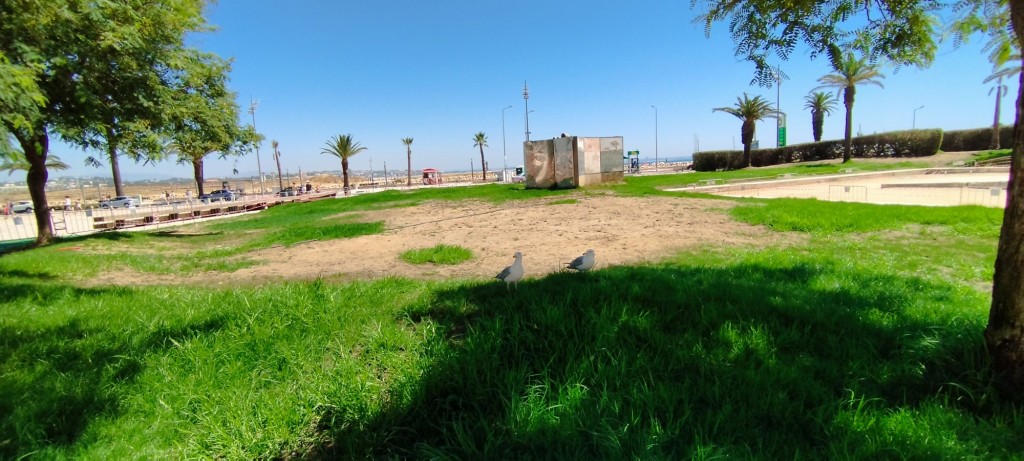 Foto: Jardim da Constituçao - Lagos, Portugal