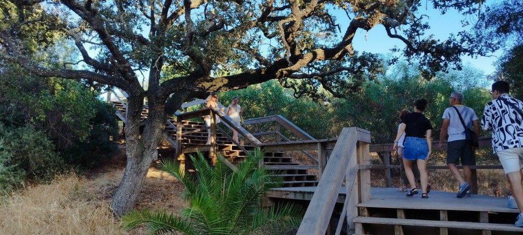 Foto: Pasarelas de madera para el paseo - Lagos, Portugal
