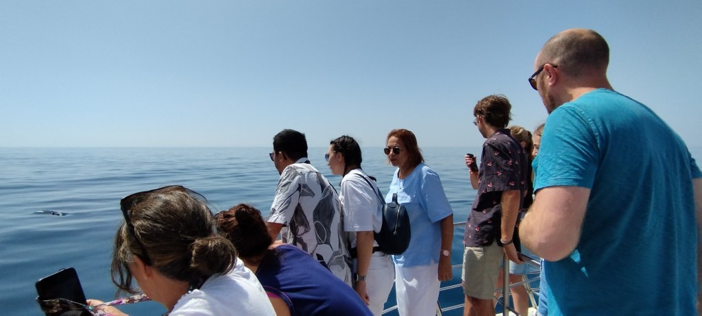 Foto: Avistando delfines - Lagos, Portugal