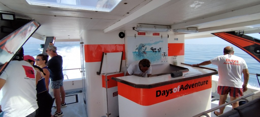 Foto: Biólogos buscando delfines - Lagos, Portugal