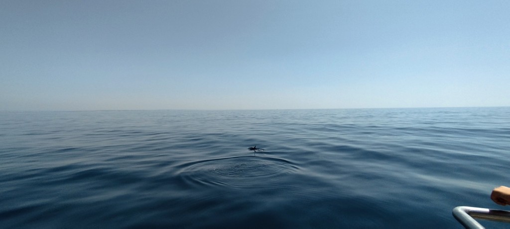 Foto de Lagos, Portugal