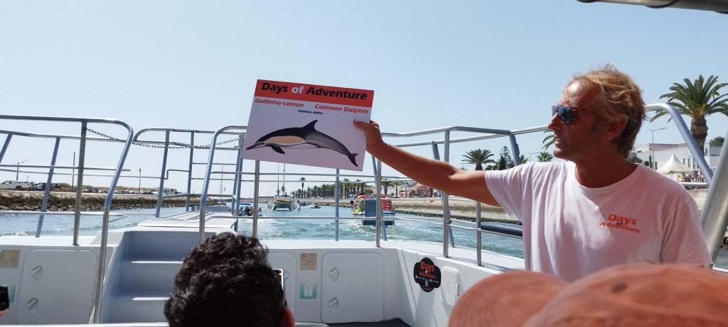 Foto: Lecciones sobre delfines - Lagos, Portugal