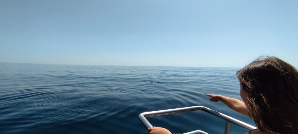 Foto: Ya sale uno - Lagos, Portugal