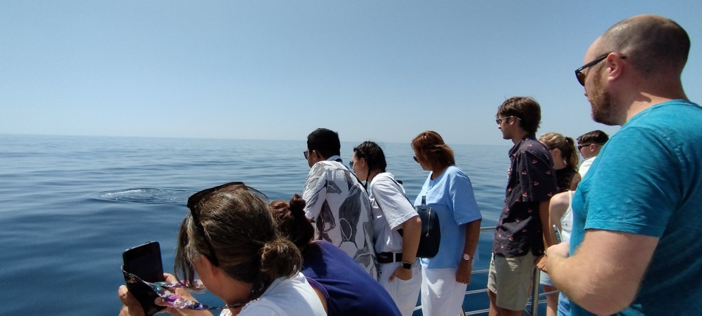 Foto: Avistando delfines - Lagos, Portugal