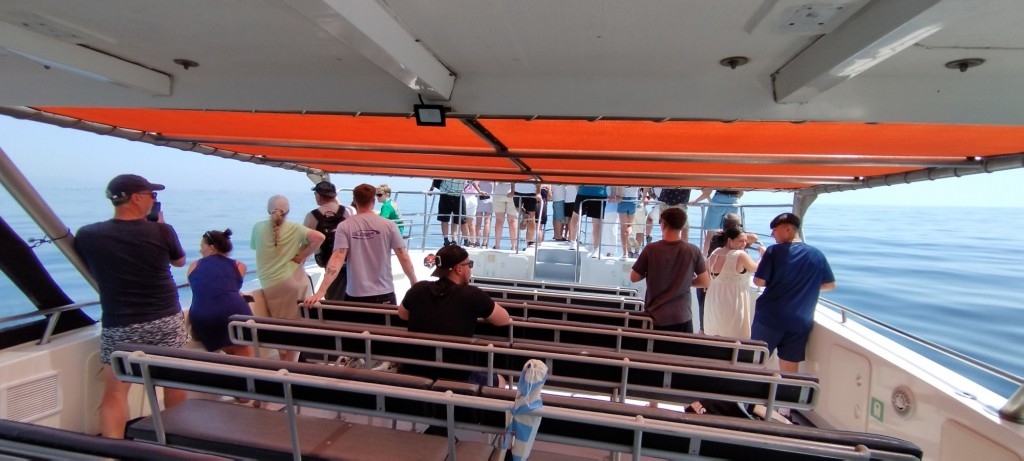 Foto: Inmortalizando los avistamientos de cetáceos - Lagos, Portugal