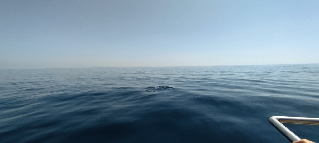 Foto de Lagos, Portugal