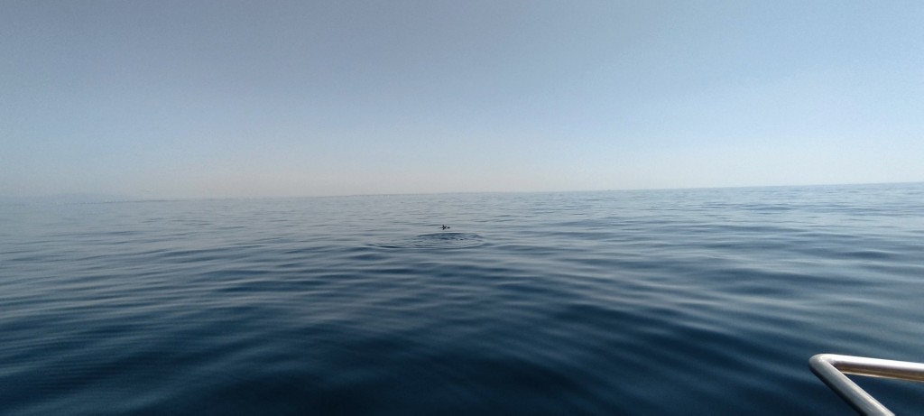 Foto de Lagos, Portugal