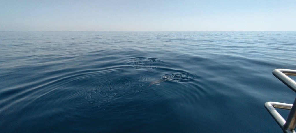Foto de Lagos, Portugal