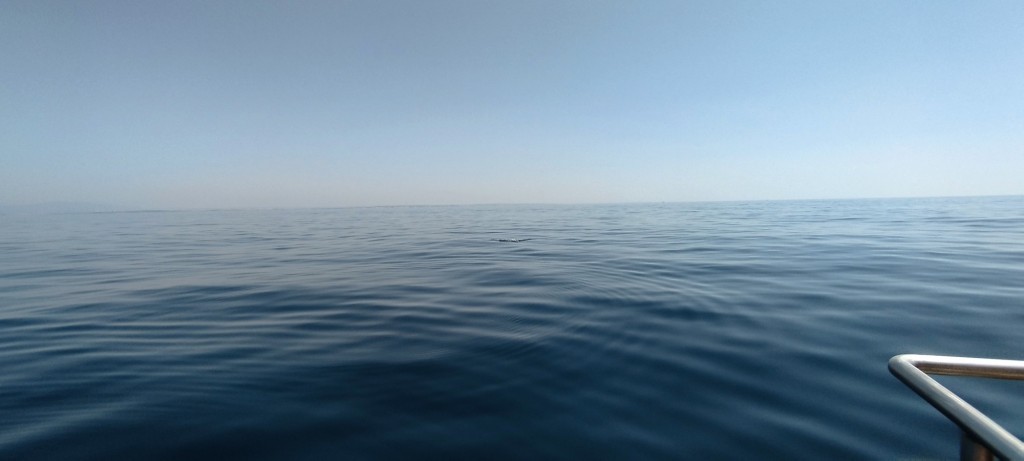 Foto de Lagos, Portugal