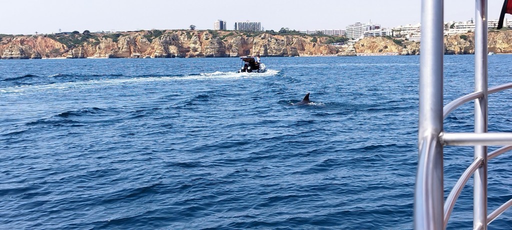 Foto: Jugando entre las embarcaciones - Lagos, Portugal