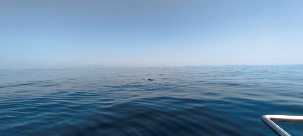 Foto de Lagos, Portugal