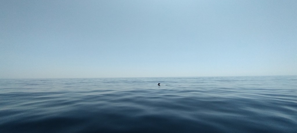 Foto de Lagos, Portugal