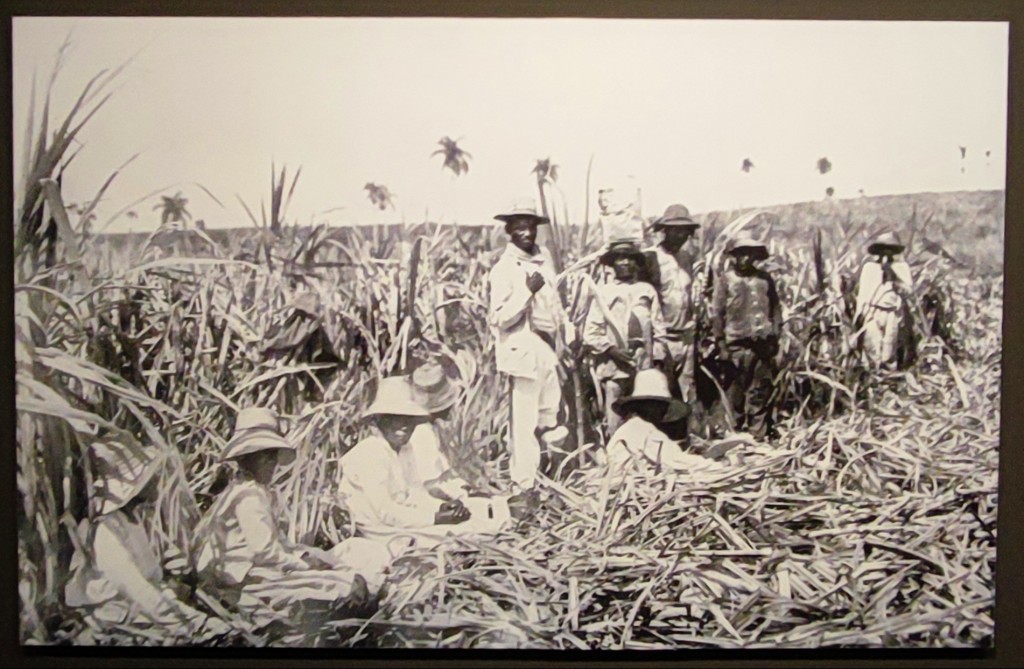 Foto: Museu Marítim de Barcelona (MMB) - Barcelona (Cataluña), España