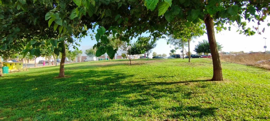 Foto: Parque - Conil de la Frontera (Cádiz), España
