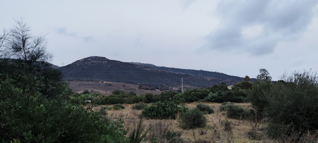 Foto: Valdevaqueros - Tarifa (Cádiz), España