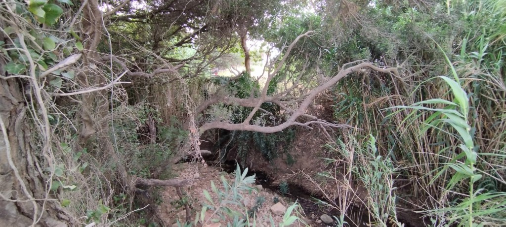 Foto: Valdevaqueros - Tarifa (Cádiz), España