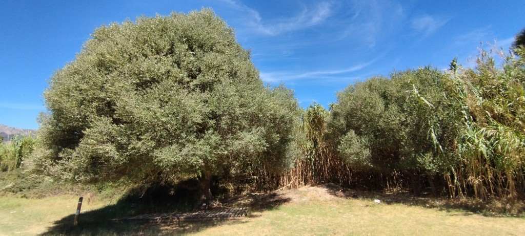 Foto: Valdevaqueros - Tarifa (Cádiz), España