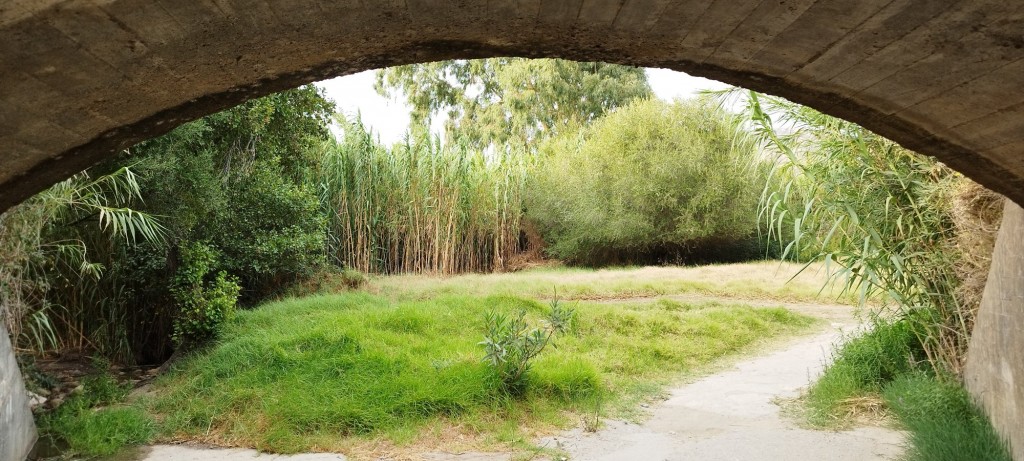 Foto: Valdevaqueros - Tarifa (Cádiz), España