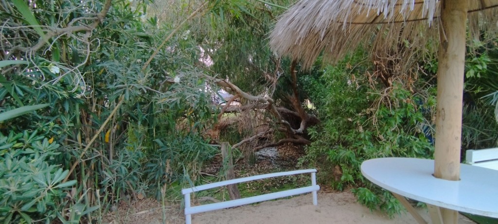 Foto: Valdevaqueros - Tarifa (Cádiz), España